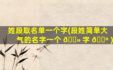 姓段取名单一个字(段姓简单大气的名字一个 🌻 字 🌺 )